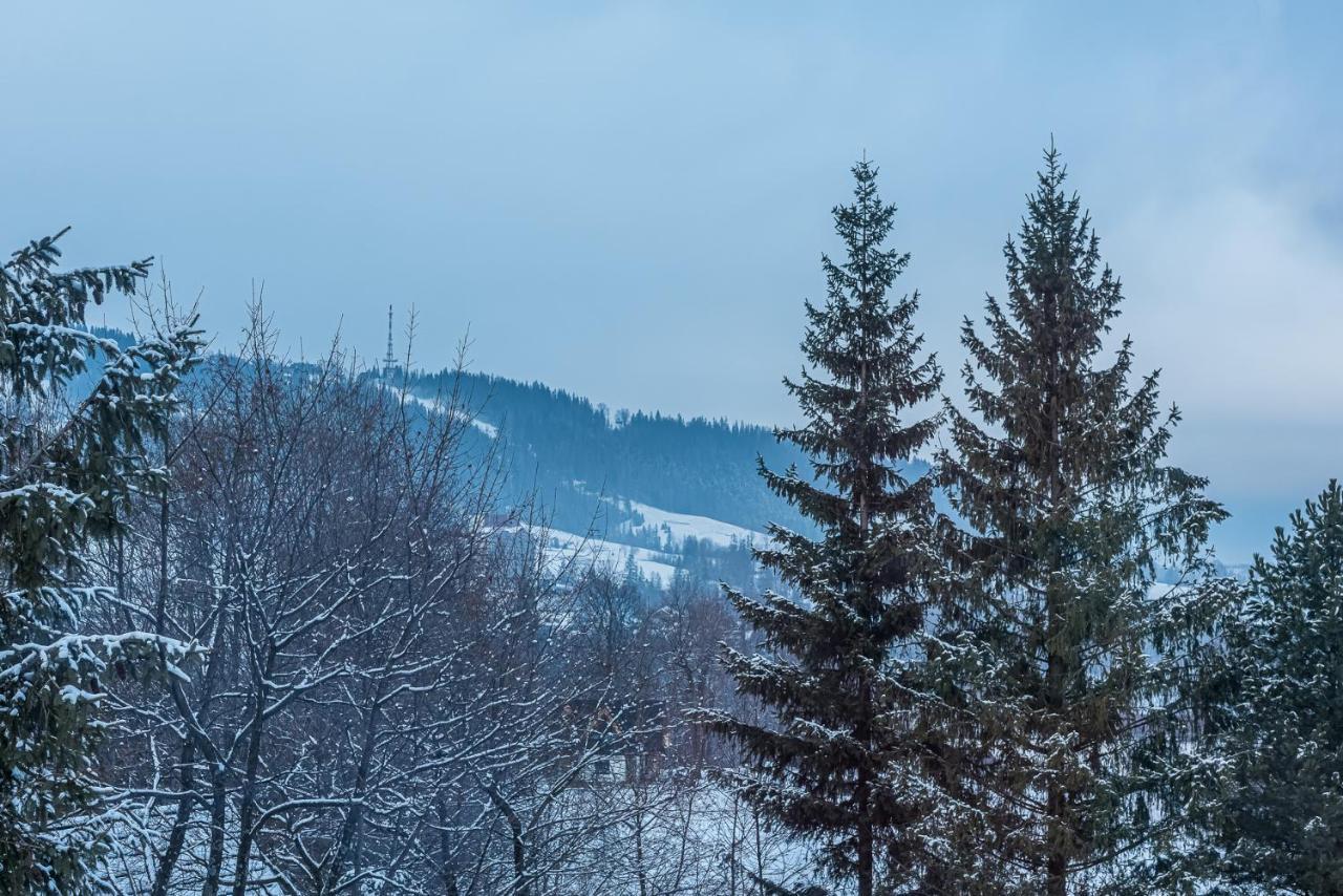 Zakopianskie Widoki Zakopane Exterior foto